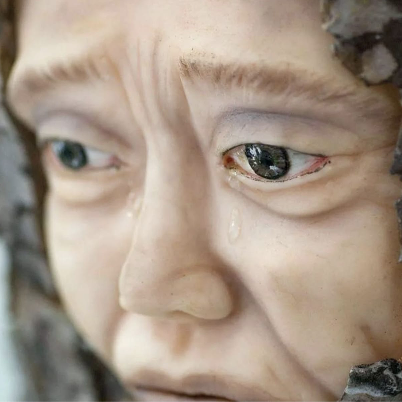 Nuray Keskin Kaya'nın yaptığı gerçekçi pasta