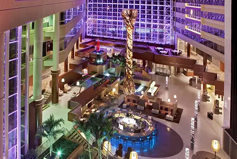 golden chef amerika staj programı anlaşmalı işyerleri görseli