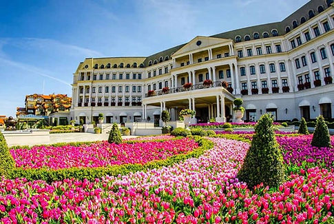 golden chef amerika staj programı anlaşmalı işyerleri görseli